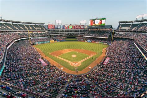 mlb갤러리, 야구장에서 만난 고양이의 비밀